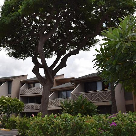 Kihei Holiday 116 Εξωτερικό φωτογραφία